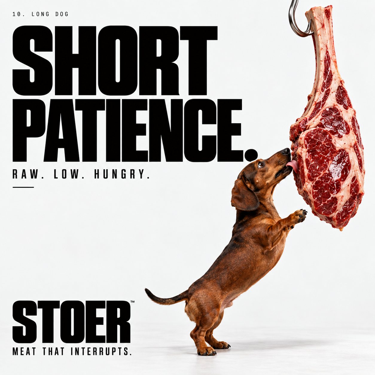 STOER early access campaign